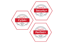 Sec CYSA Pen_